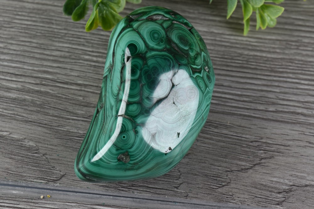 Polished Botryoidal Malachite from Congo 7.4 cm # 21897