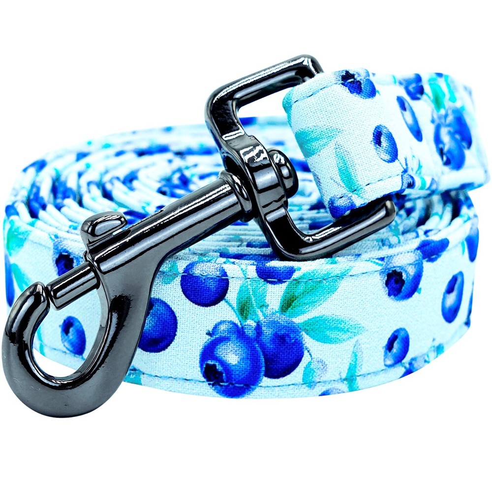 Strong Dog Leash Durable Soft Handle Walking Training Small Medium Blueberry
