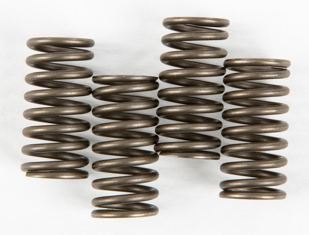 EBC Clutch Spring Set - Clutch Springs - CSK150