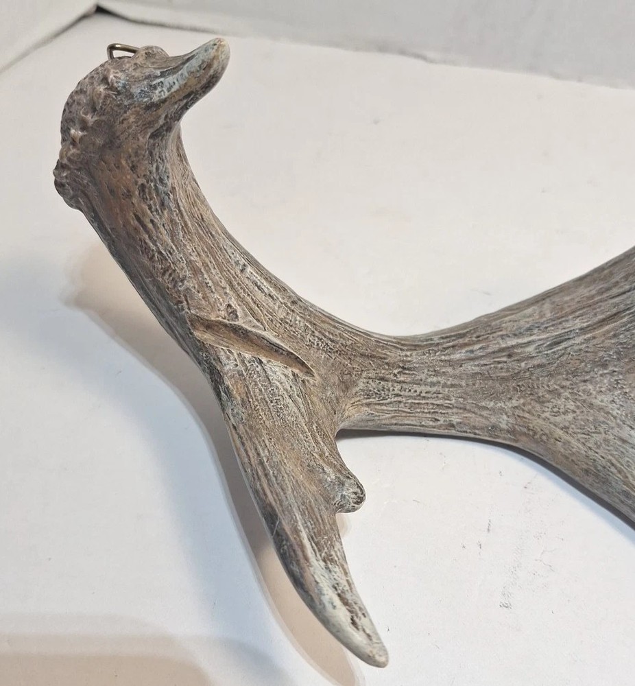 6 Point Deer Antler Wall Mount Antler Decor