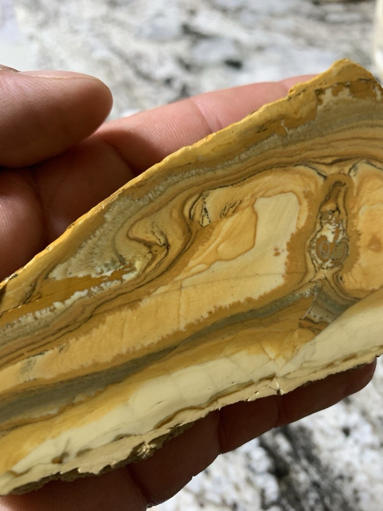owyhee picture jasper Slab