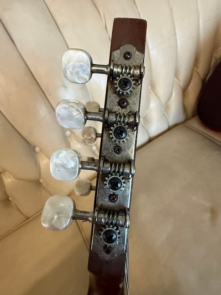 78: Mandolin Spruce body 8 strings