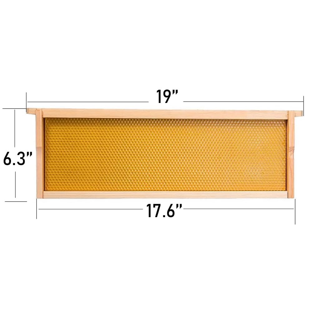 Medium Super Bee Hive Box with Frames and Waxed Foundations for Beginners