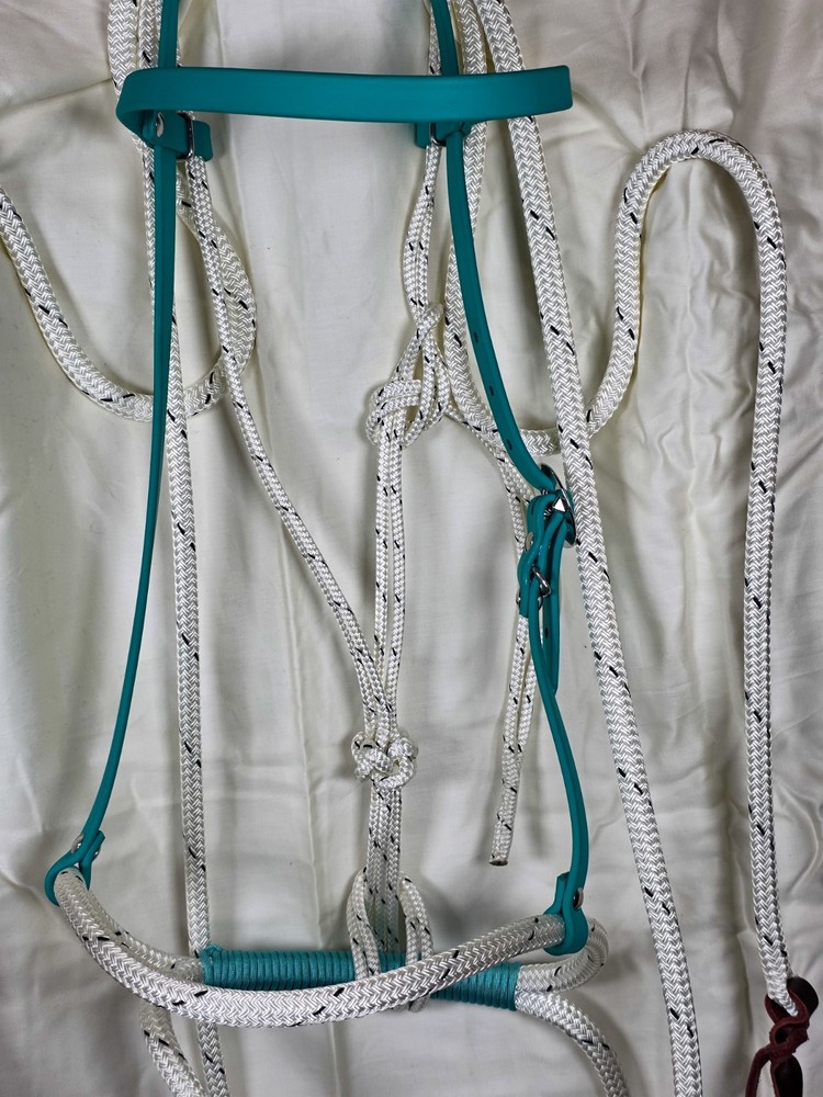 Soft Nose Loping Bridle