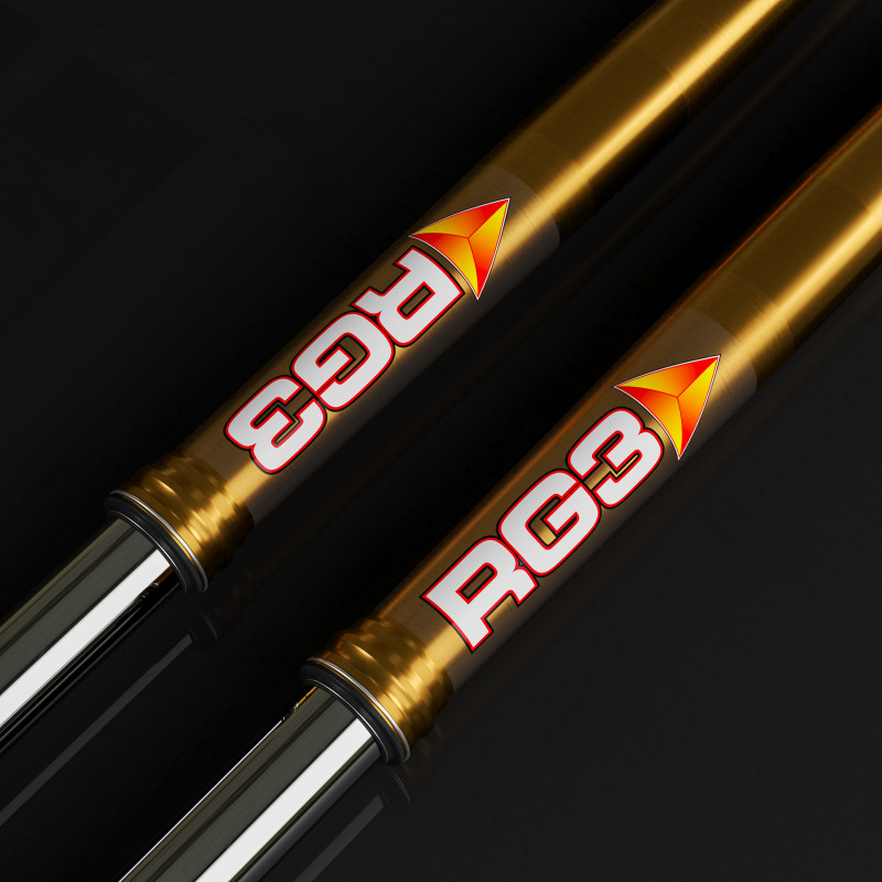 RG3 Fork Stickers Suspension Decal Kit