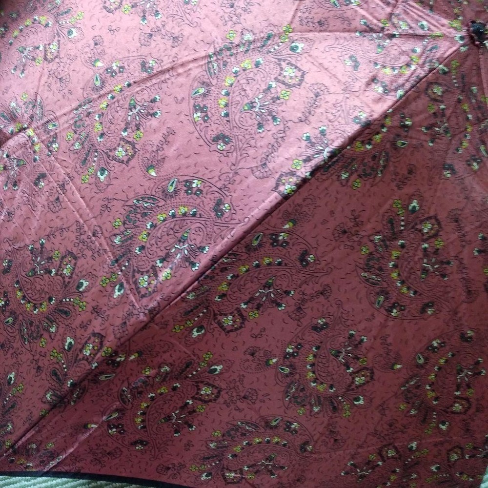 DIOR Folding Umbrella 55cm Wine Paisley Pattern New Authentic Genuine