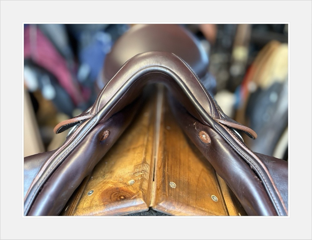 Arion C2 Event jump saddle. 17” MW