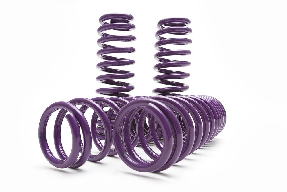 D2 Racing D-SP-BM-14 Lowering Springs