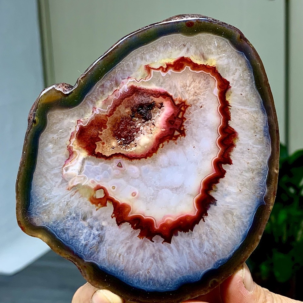 287G Natural Beautiful Agate Geode Druzy Slice Extra Large Gemstone