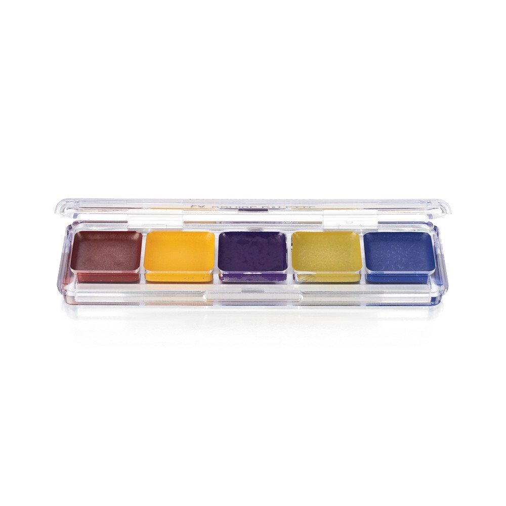 Ben Nye Alcohol FX Bruise Palette AAP-03