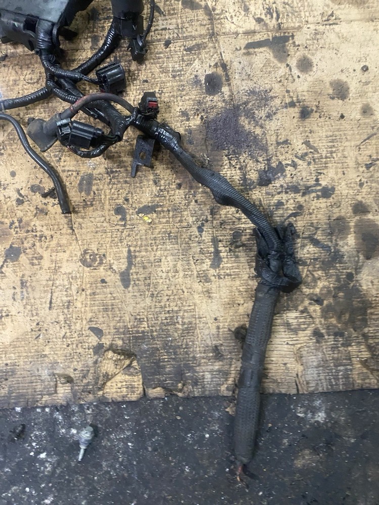 6.4 Powerstroke Wiring Harness ML6W17