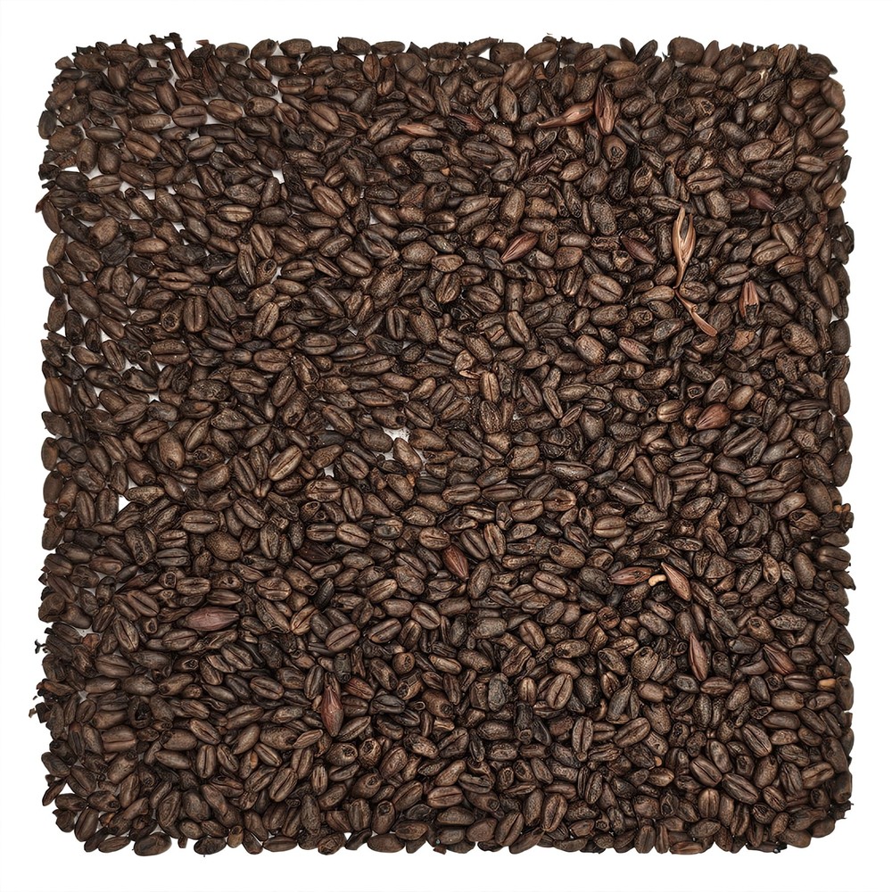 Home Brew Ohio Chocolate Grain 5lb