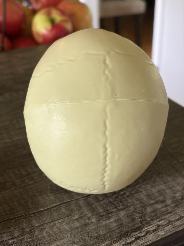 Plastic Skull Halloween Decoration Prop Hamlet Prop