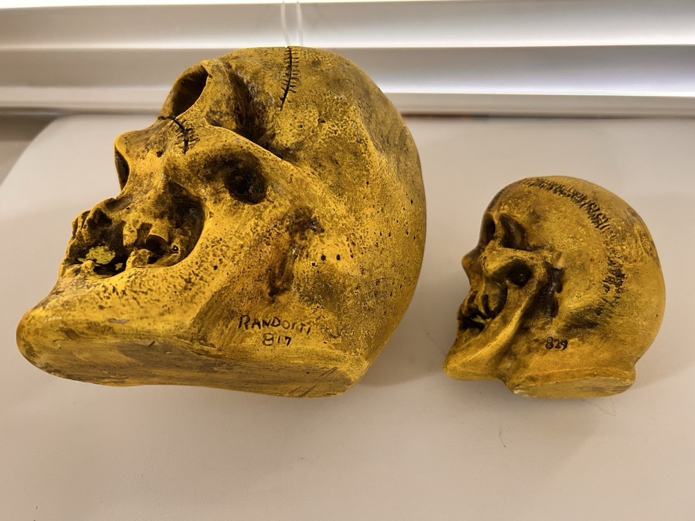 2 EA.RANDOTTI ORIGINAL FLUORESCENT YELLOW LARGE & MEDIUM SKULLS STILL GLOW