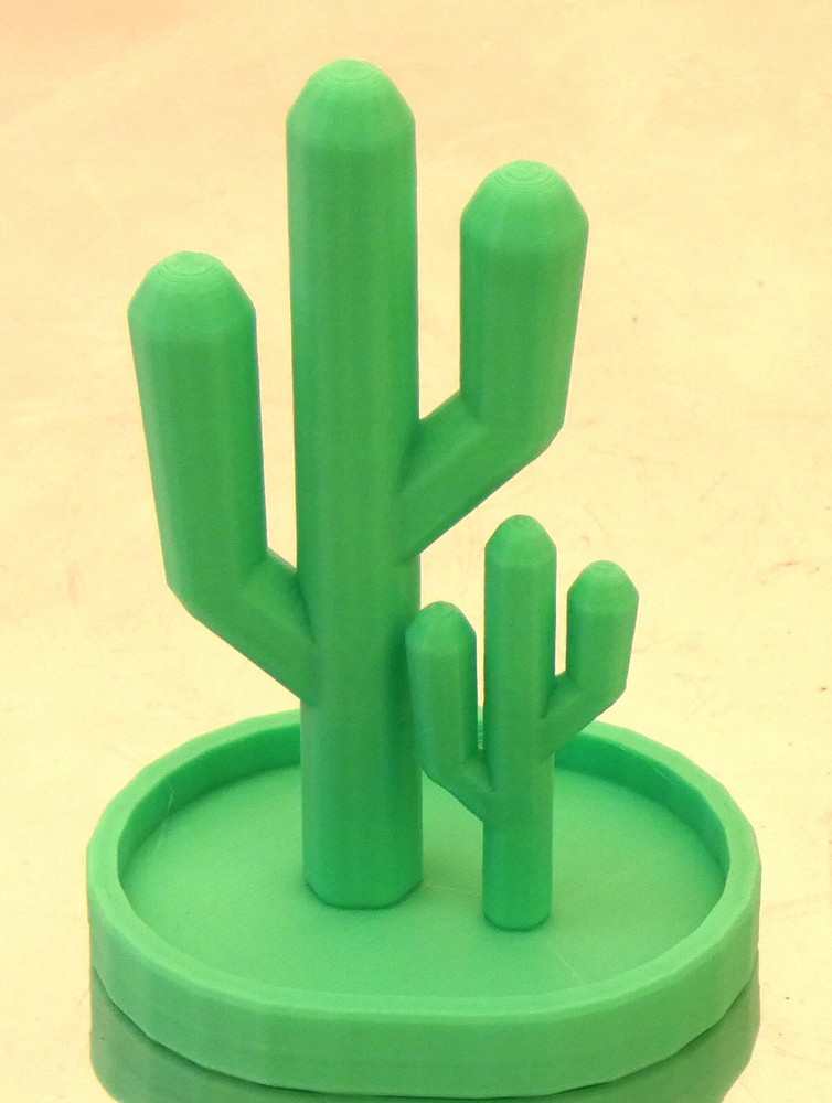Cactus Display Decor Rack Stand Dish Height 4" to 8" Desktop Table