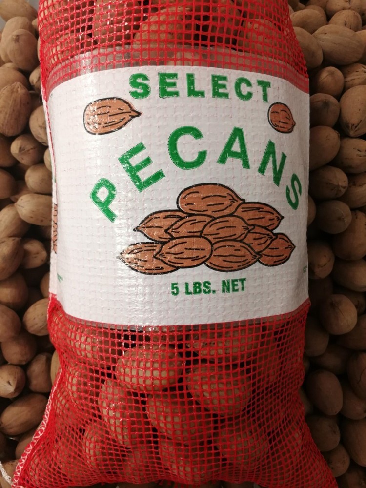 In Shell Pecans from Texas 2024 Crop 5 Pounds