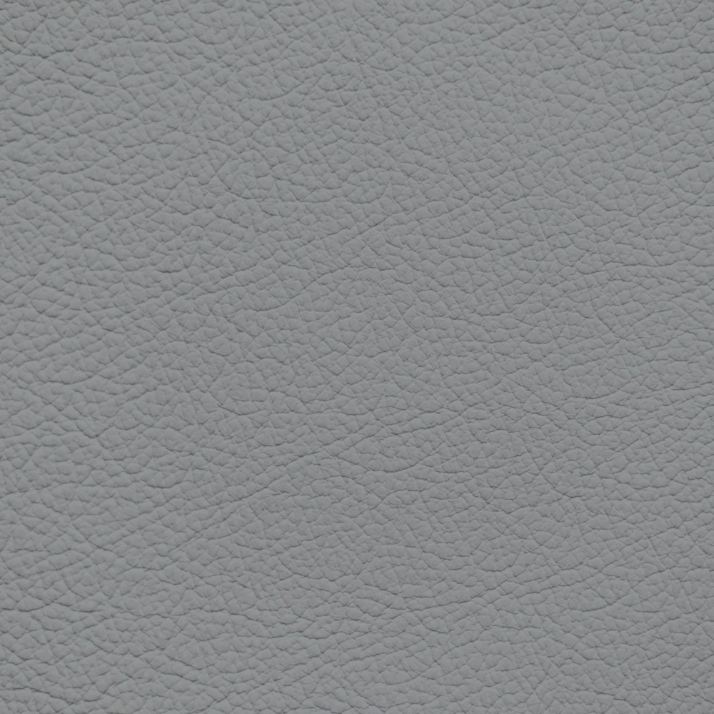 Infiniti Gray Leather Dye
