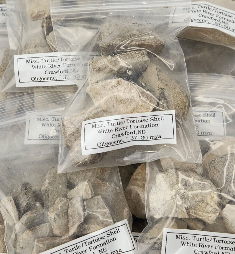 Misc. Turtle/Tortoise Fossil Shell Bag - White River - Brule Fm. - Crawford, NE
