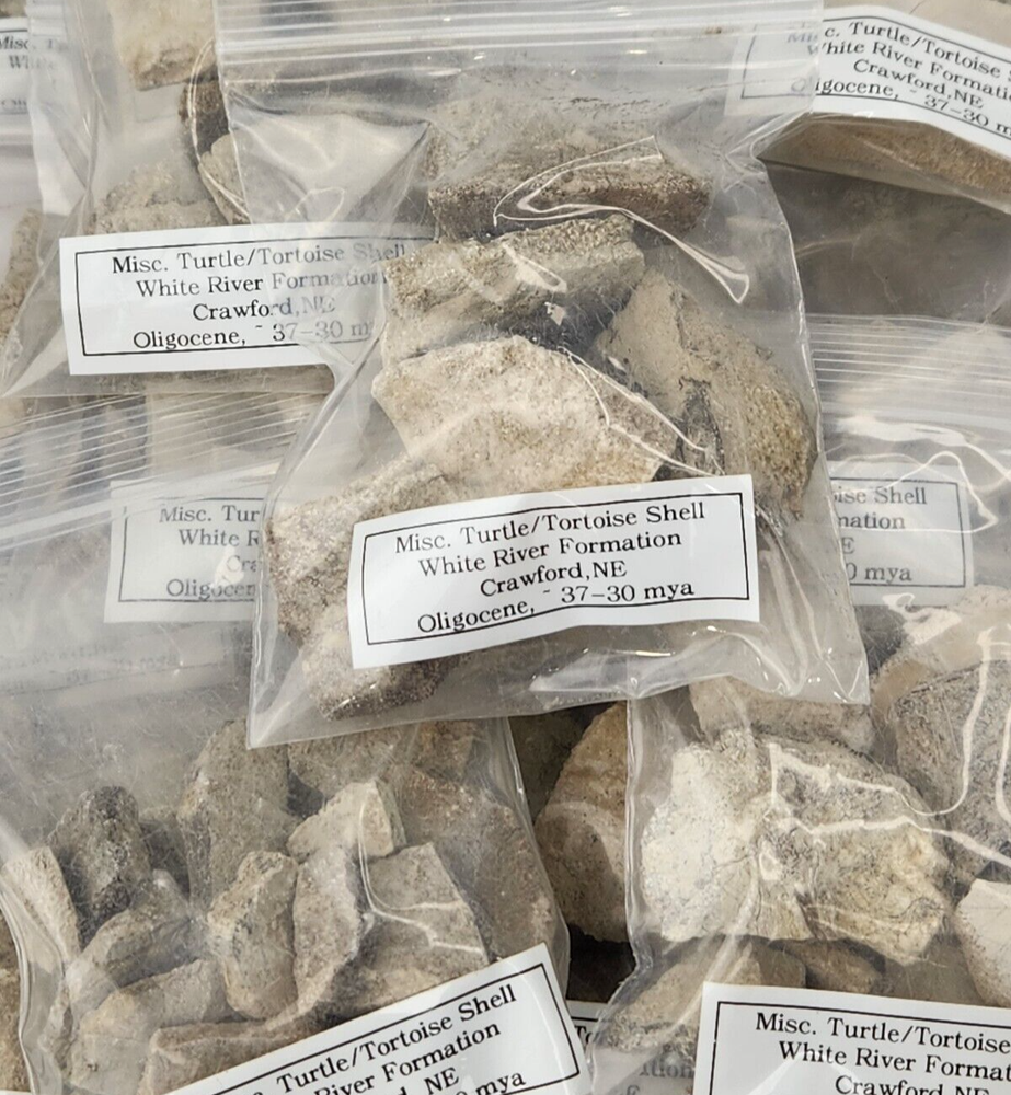 Misc. Turtle/Tortoise Fossil Shell Bag - White River - Brule Fm. - Crawford, NE