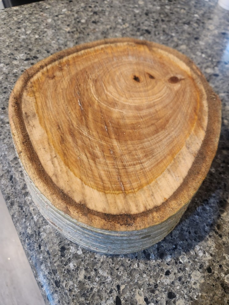 White Birch Log - Live Edge