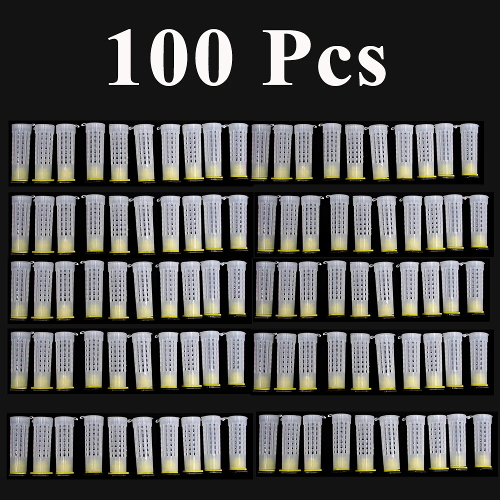 New Wholesale Beekeeping Queen Bee Rearing System Protection Cages Plastic Tools