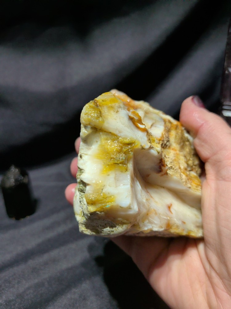 Petrified Wood w/ Opalization Specimen Natural Form (12.1oz)