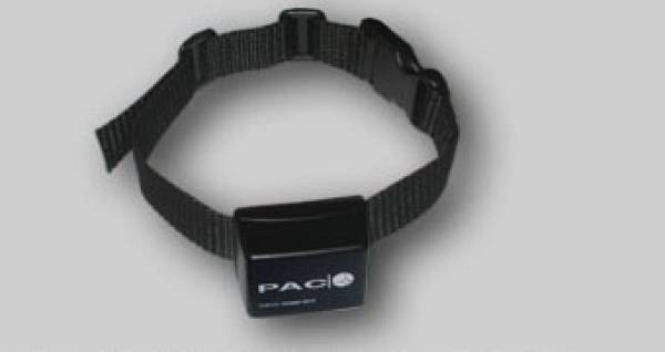 CS PAC BXC Digital Collar only for BXTA series