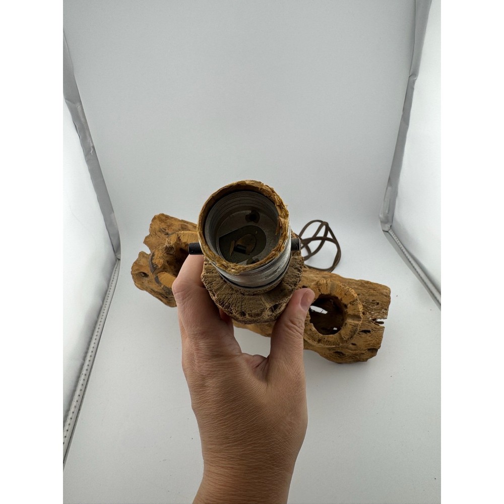 Cholla Cactus Lamp Rustic Desert Decor Table Lamp Unique Accent Lighting