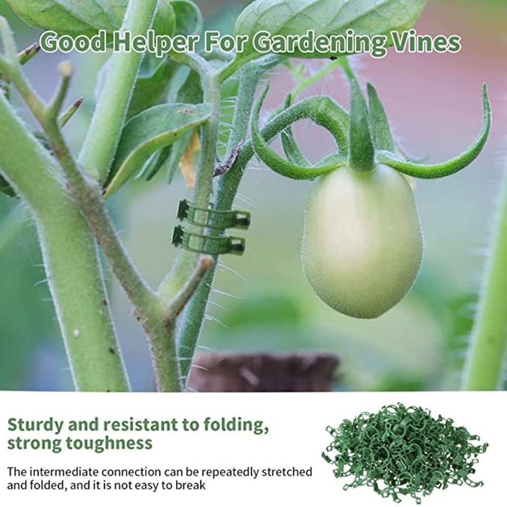 Efficient Solution for Fixing Solanaceous Vegetables Plant Vine Ties 100PCS