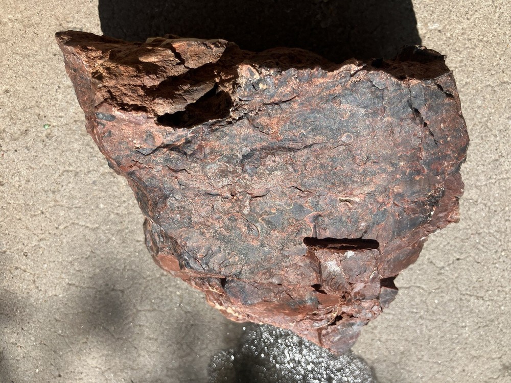 Arizona Petrified Log