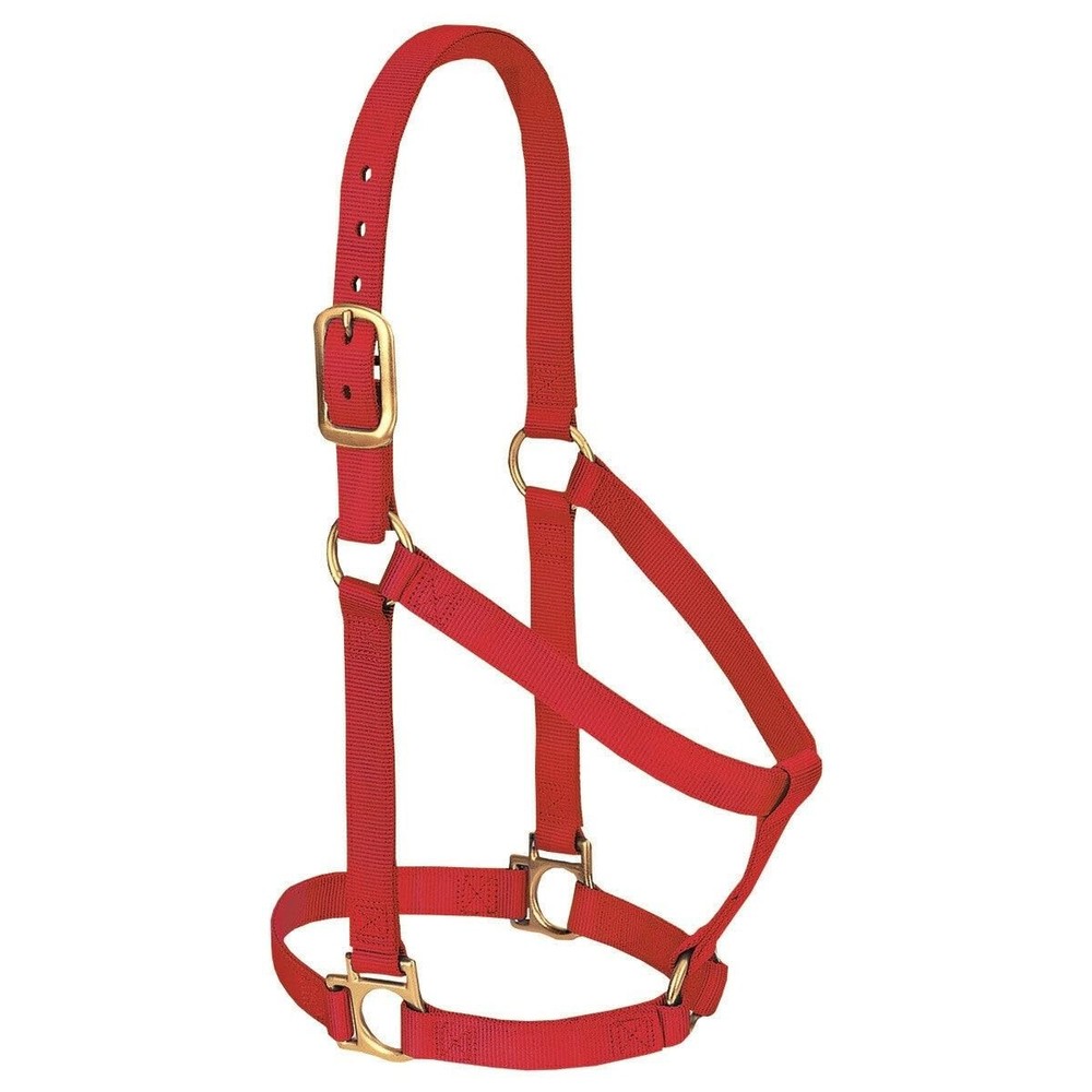 Weaver Leather Basic Non-Adjustable Nylon Horse Halter