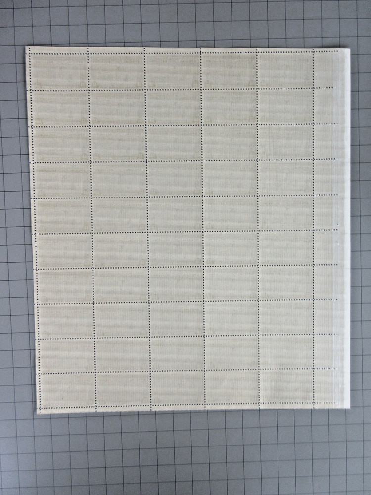 Mint NH US Scott # E17 Special Delivery Sheet