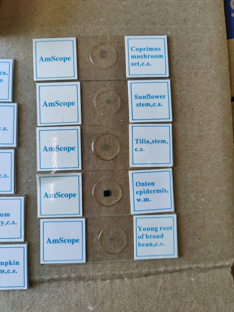 AmScope PS25W Prepared Slides