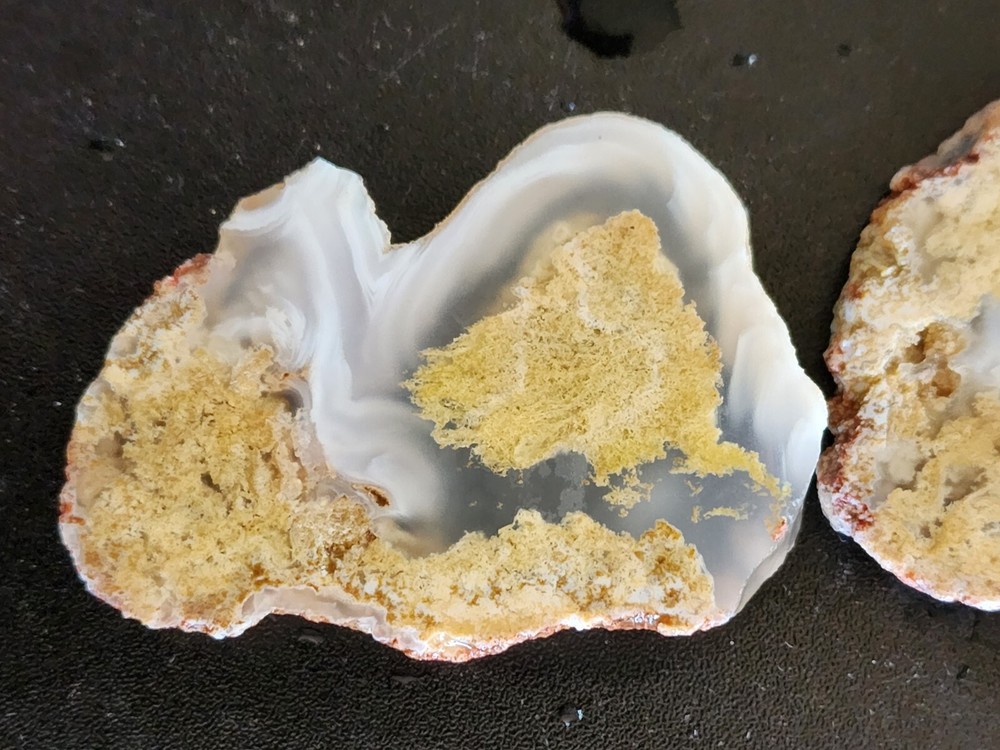 Agate Slabs Pair With Plume