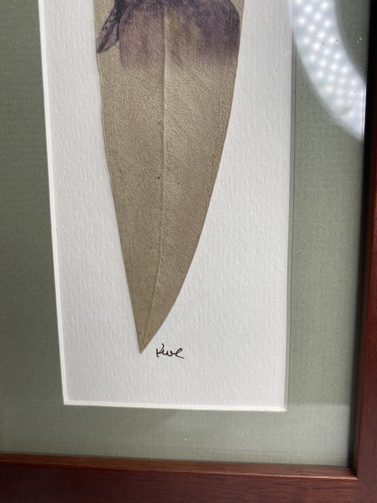 Bluegum Kookaburra Leaf Art Australia