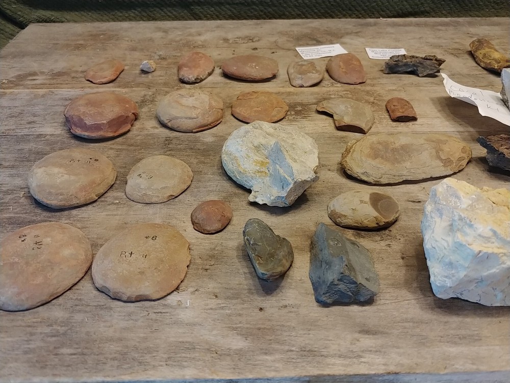 Fossil Lot 34 Total Pieces