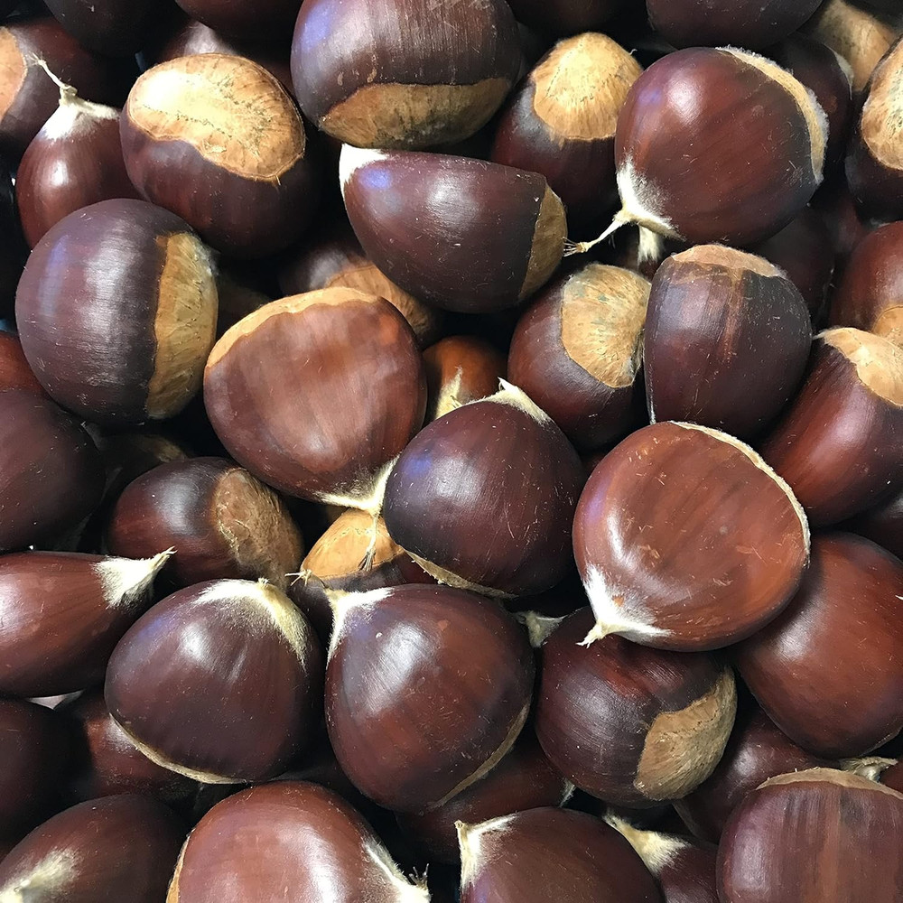 Chestnuts - Fresh in the Shell - 2 Pounds 32 Ounces