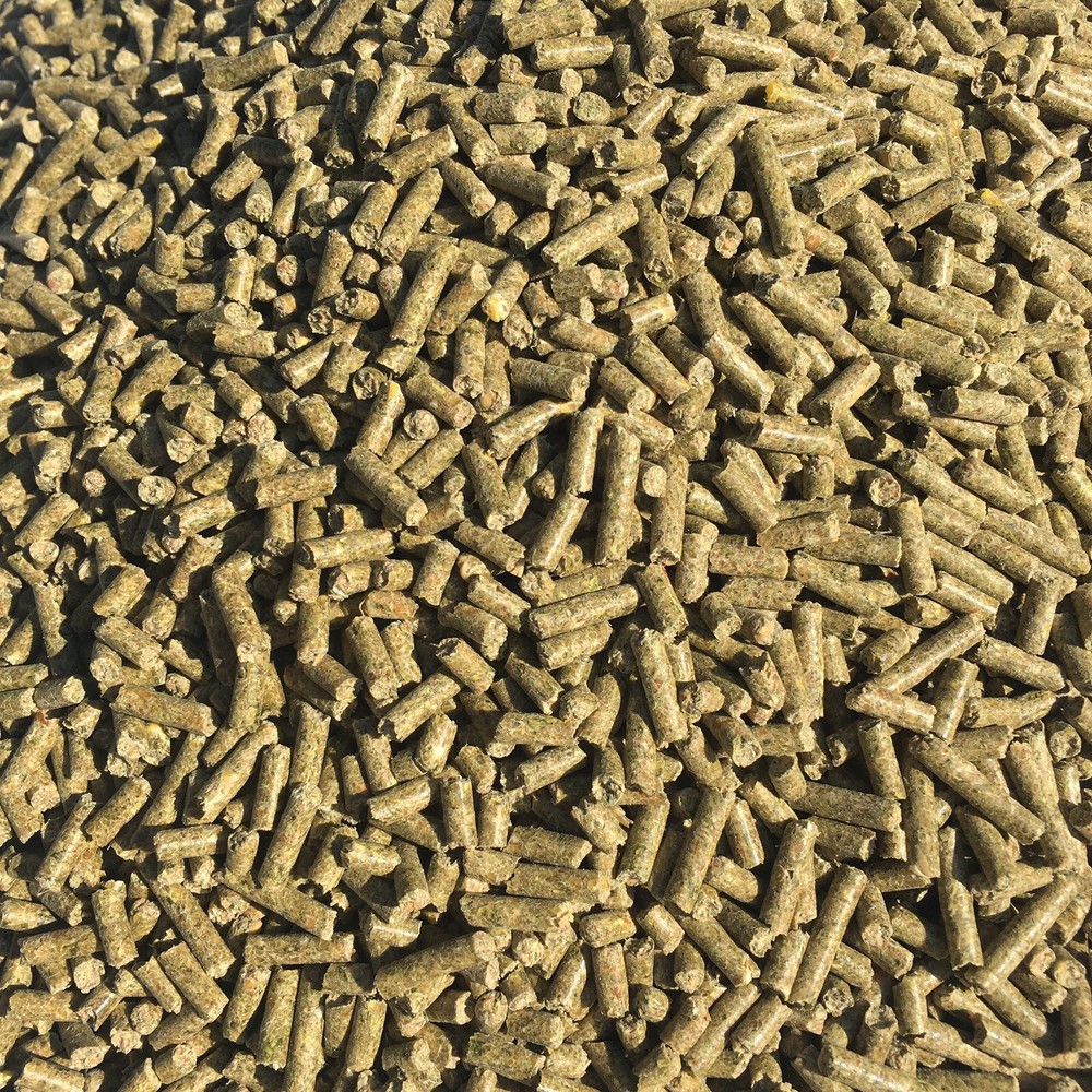 Guinea Pig Food Pellets Complete Feed Ration