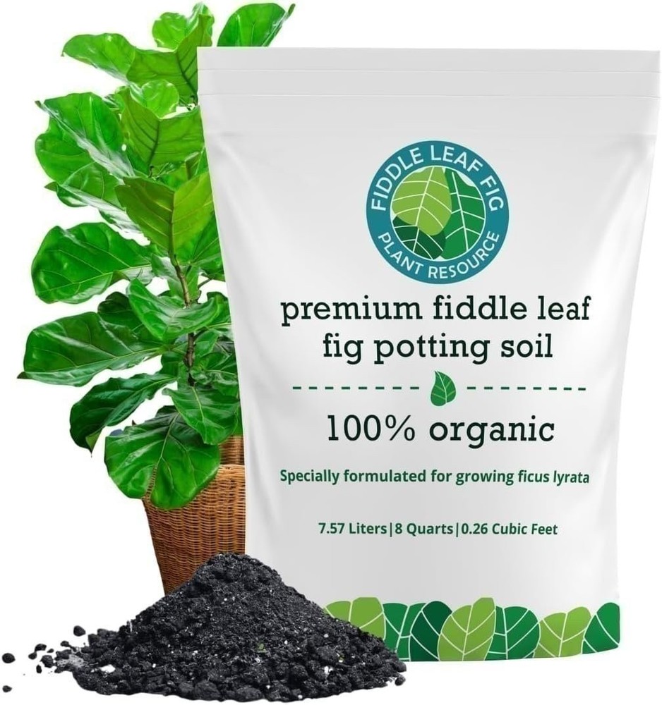 Fiddle Leaf Fig Soil – Organic, Fast-Draining Mix for Growth & Healthy Roots