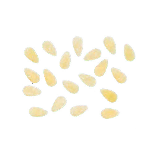 Arcobaleno AEX90 & AEX90M#318 Pasta Die