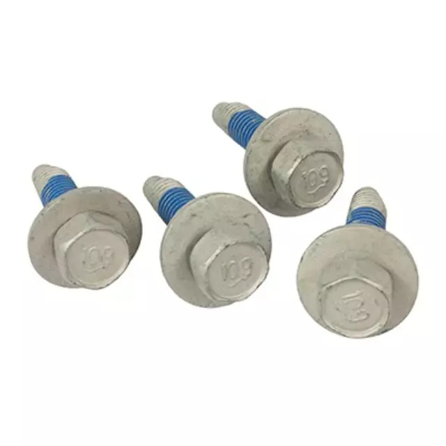Rear Plate Bolt PACK OF 4