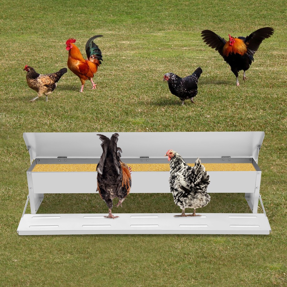 Automatic Chicken Feeder 10kg Capacity | Sturdy Design & Easy Access
