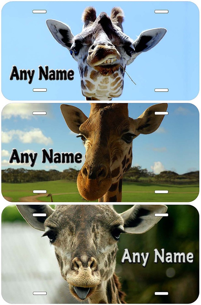 Giraffe Any Name Personalized Novelty Car License Plate