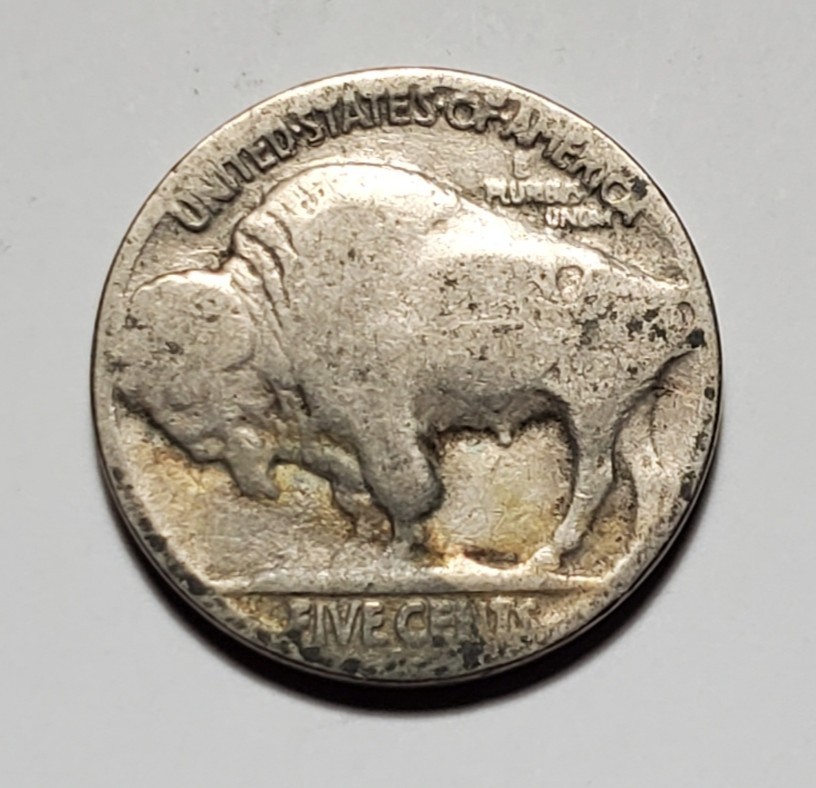 1934 D BUFFALO NICKEL #C9531