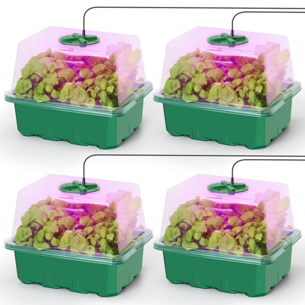 Seed Starter Kit with Grow Light & Humidity Domes for Seedlings