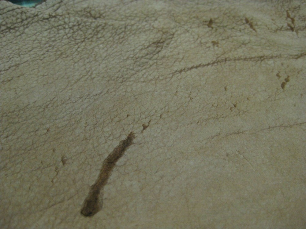 Buffalo Leather # 0012436 ROW 36