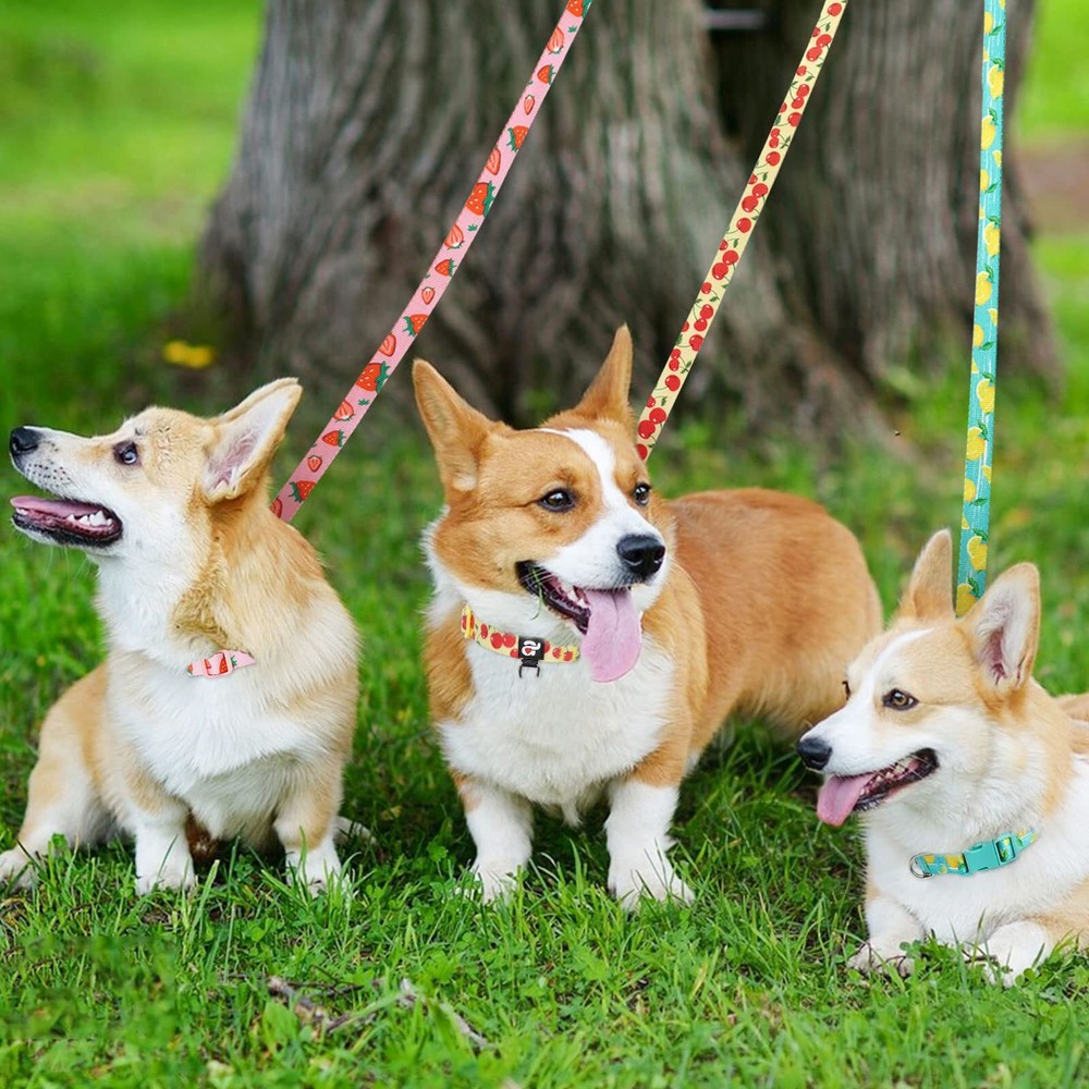 3 Pack Fruit Design Nylon Dog Leashes Strong & Durable Basic Dog Leash with E...