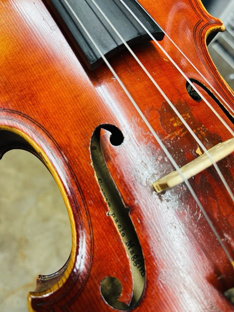 Maggini Violin 4/4 Doble Yarda