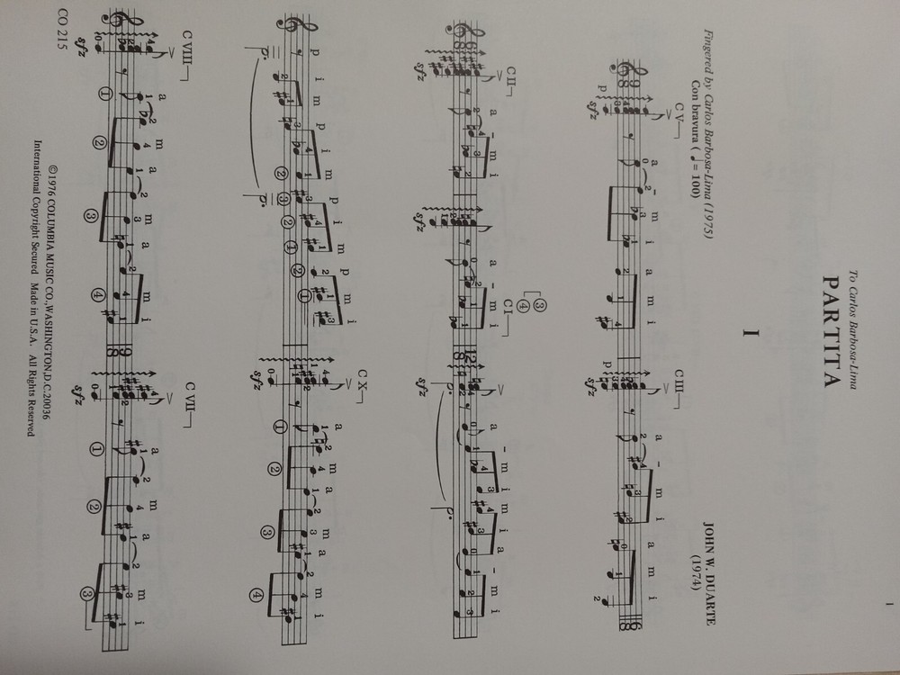 Partita - John W. Duarte