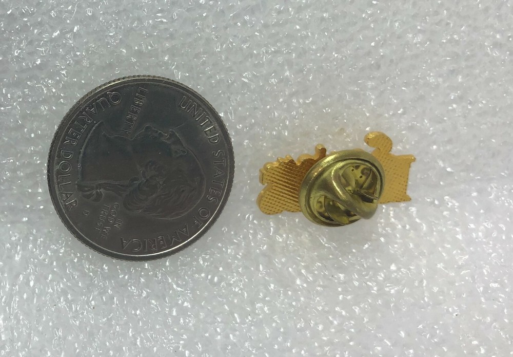 Senior Friends Pin
